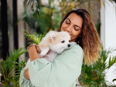 Cuidando do Seu Pet com a Mesma Proteção Dedicada à Sua Família