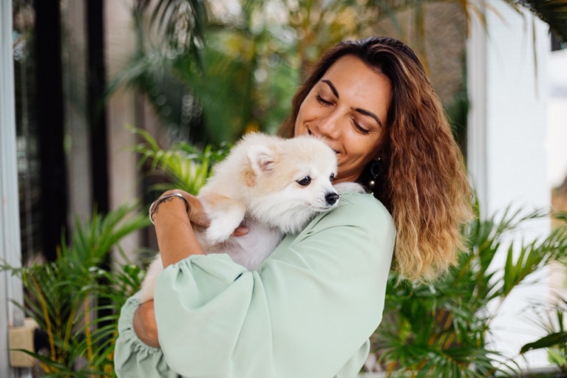 Cuidando do Seu Pet com a Mesma Proteção Dedicada à Sua Família