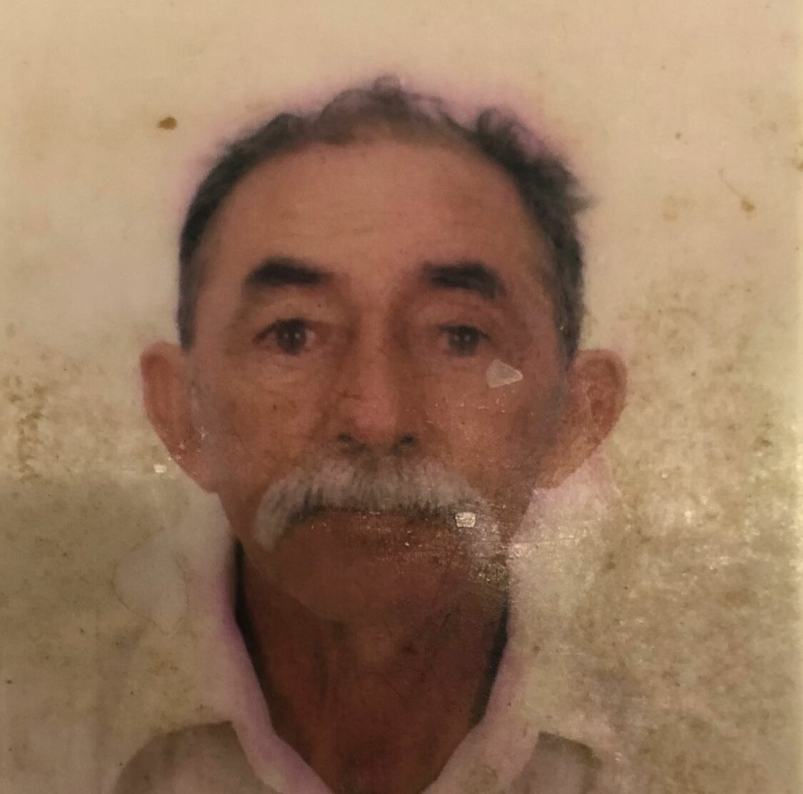 José Luis de França Neto
