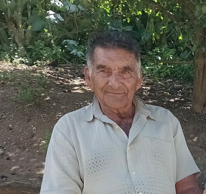 José Ferreira Filho