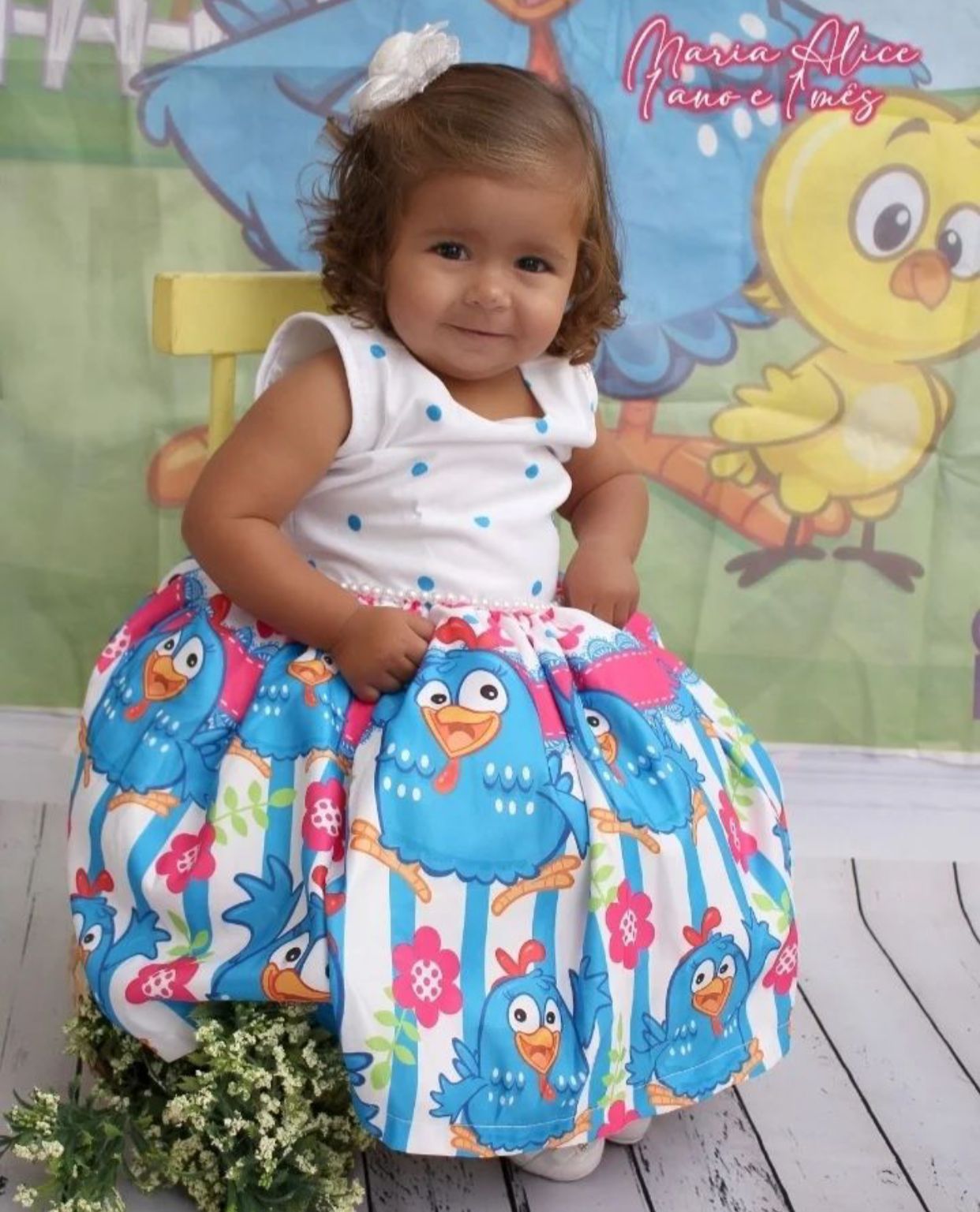 Maria Alice Silva Santos