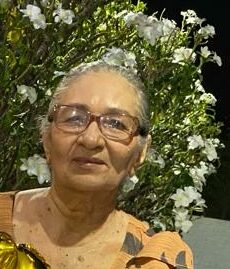 Lindaura Santina dos Santos