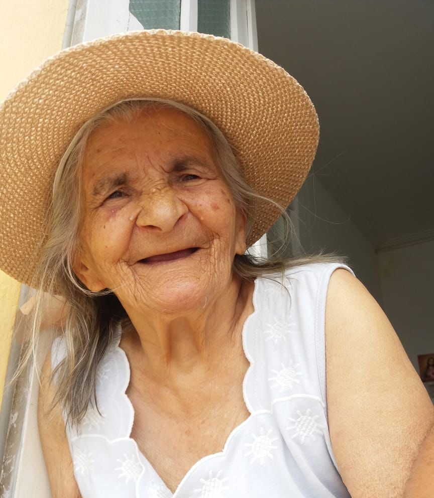 Silvinia Ferreira de Menezes