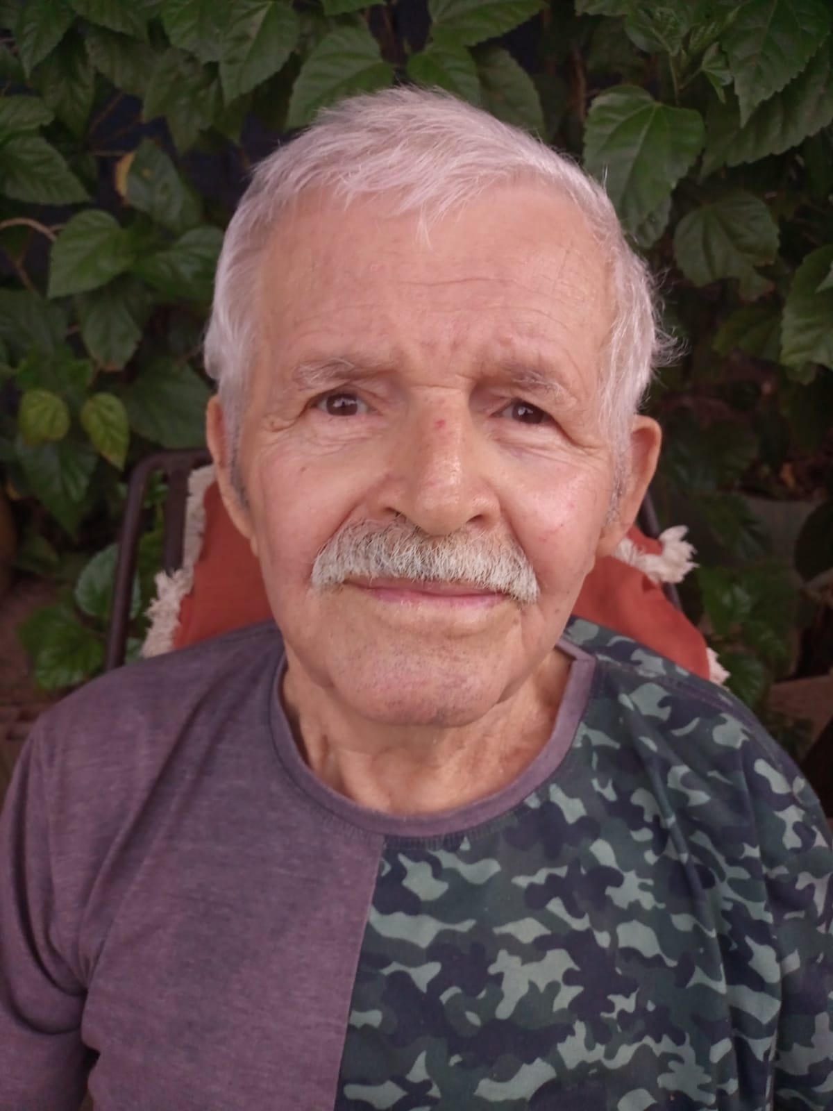 Valdemar Leitão da Silva