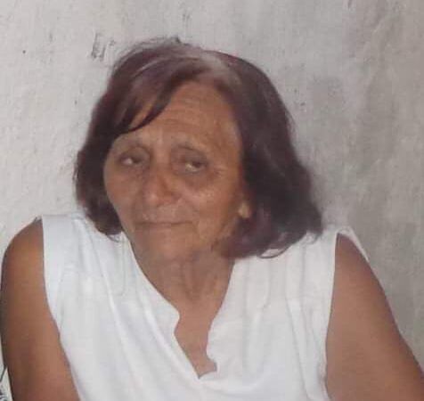 Maria José Figueiroa