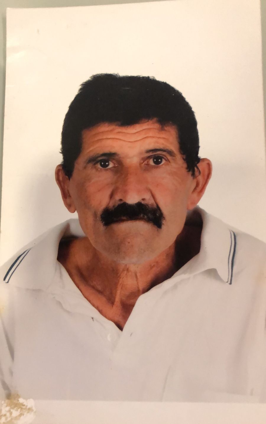 Sebastião da Rocha Gouveia
