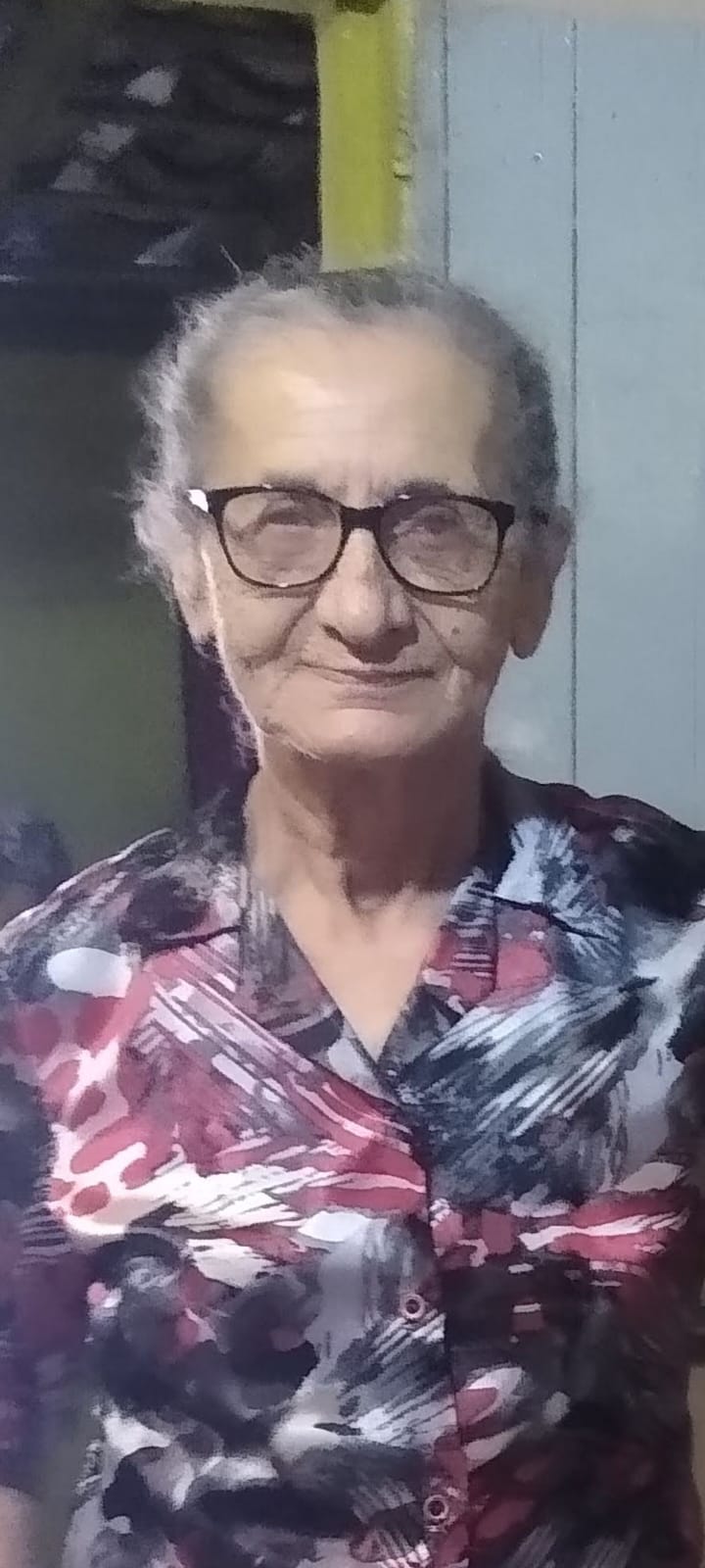 Maria Ilza da Costa
