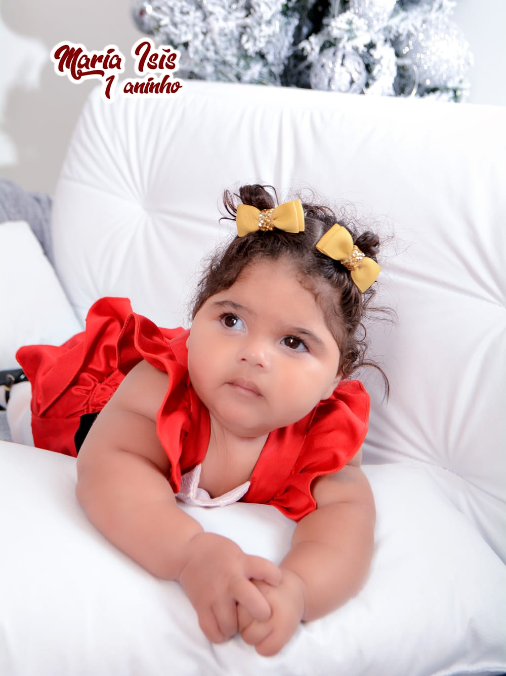 Maria Isis dos Santos Arruda