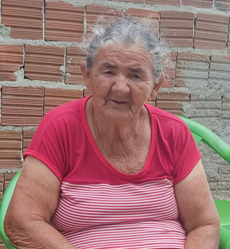Lurdes Maria Oliveira dos Santos