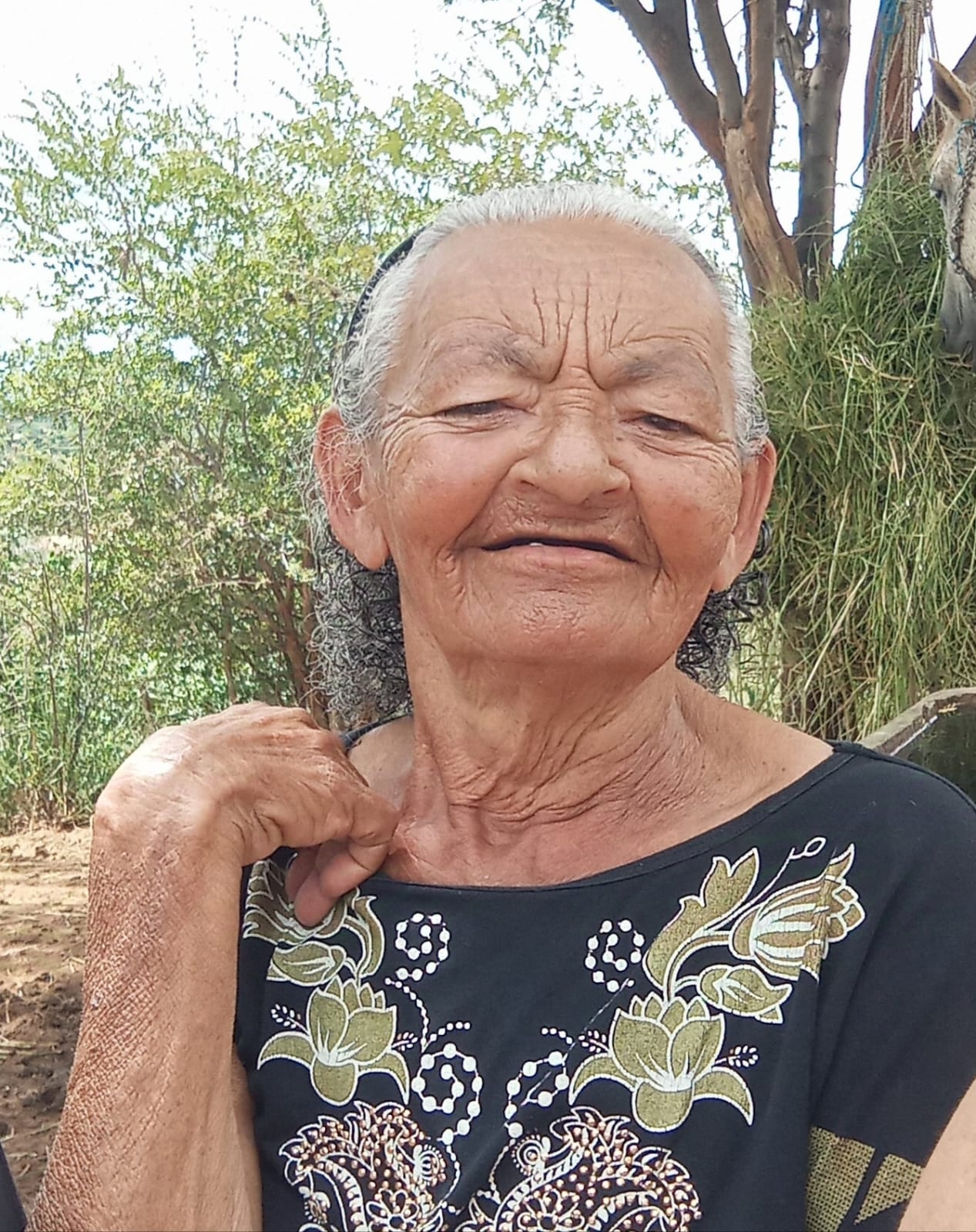Dionea Maria da Silva Teixeira